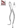 /product-detail/heath-medical-dental-forceps-extracting-upper-canines-fig-10h-nevius-62012127403.html
