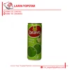 /product-detail/rauch-bravo-green-apple-can-0-25l-62017136135.html