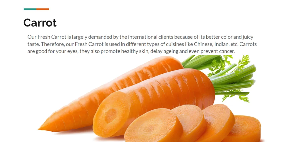 2019 new crop vietnamese fresh carrot with competitive price and