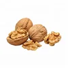 2019 New crop Chinese wholesale bulk walnuts in shell import