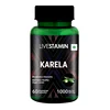 /product-detail/karela-capsules-500mg-bitter-gourd-extract-diabetic-care-supplement-gmp-iso-50036333687.html