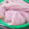 /product-detail/frozen-pangasius-fillet-from-viet-nam-62016538772.html
