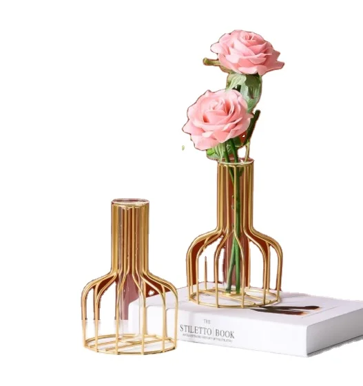Nordic iron gold hydroponic glass vase decoration living room table surface ornaments crafts flowers vase metal vase, Glass transparent
Nordic iron gold hydroponic glass vase decoration living room table surface ornaments crafts flowers vase metal vase, Glass transparent