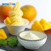 /product-detail/online-shopping-halal-mango-soft-ice-cream-powder-mix-62016399501.html