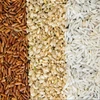 /product-detail/buy-affordable-long-grain-white-brown-rice-wholesale-price-62014709801.html