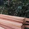 Best Quality Sell African Hardwood Timber logs Iroko, Doussie, Mahogany, Sapeli, Padauk, Tali