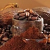 /product-detail/grade-a-dried-chocolate-cocoa-beans-cheap-price-high-quality-organic-62013164470.html