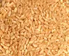super Wheat Durum