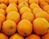 /product-detail/egypt-export-natrual-dry-fresh-fruits-oranges-62011880483.html