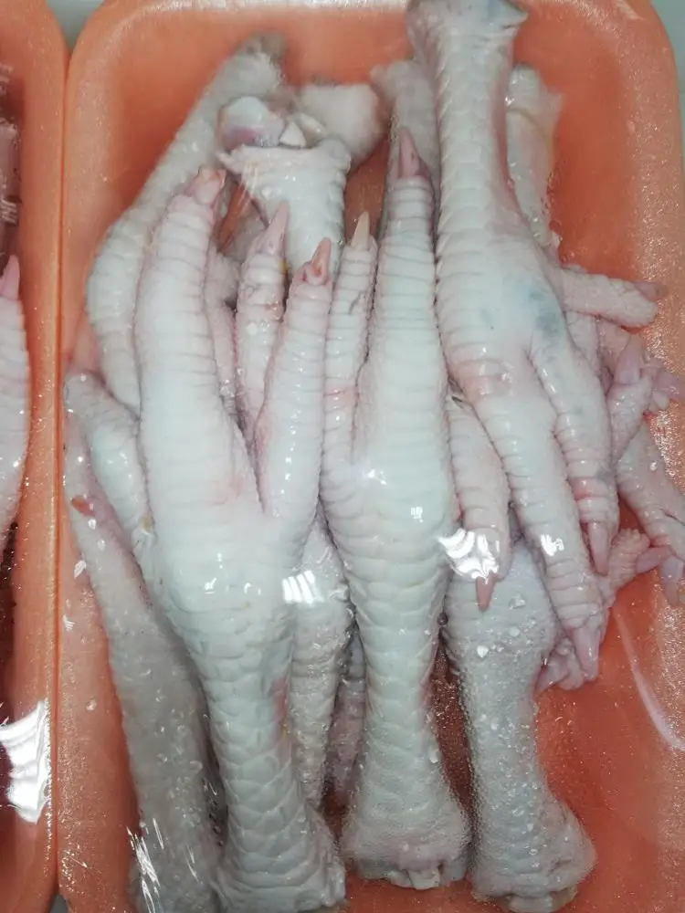 chicken feet , chicken paw