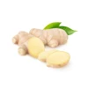 /product-detail/fresh-ginger-with-high-quality-62017559065.html