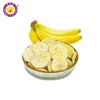/product-detail/freeze-dried-banana-100-natural-from-thailand-62012943537.html