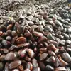 /product-detail/export-quality-organic-tamarind-from-ukraine-at-factory-price-62011477337.html