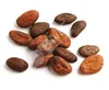 /product-detail/high-grade-cocoa-beans-62015448980.html
