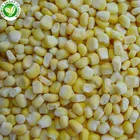 Yellow bulk sweet iqf frozen kernel corn