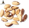 Top quality Brazil nuts (Bertholletia excelsa) from PERU