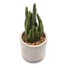Artificial Cactus Succulent Plants Decorative Faux Succulents Potted Plastic Cactus Cacti