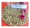 /product-detail/high-quality-kenya-arabica-washed-green-coffee-bean-62013663892.html