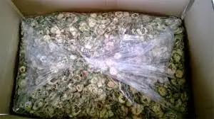 dehydrated-bitter-melon-6.jpg
