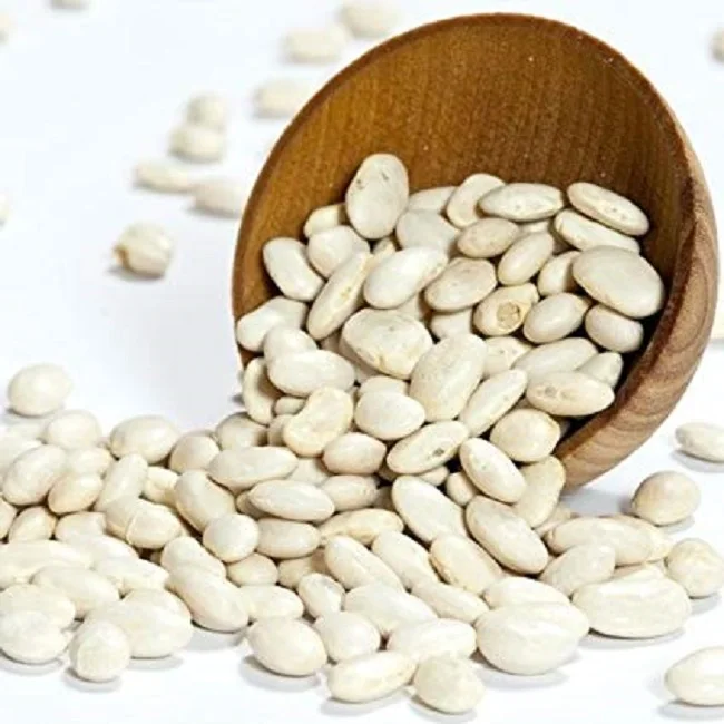 white kidney bean navy beans long and round shape