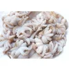 /product-detail/frozen-grade-a-high-quality-baby-octopus-big-octopus-62015581269.html