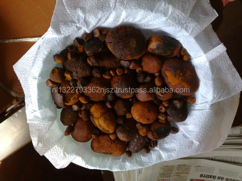 buy whole gallstones online / ox and cattle gallstones wholesale