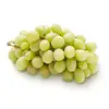 Delicious/Sweet/High Grade/Seedless/Early White Grape