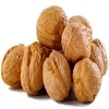 Dry Walnut in shell / Walnuts kernels/Walnut Shelled Kernels