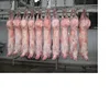 /product-detail/halal-whole-frozen-lamb-carcass-meat-62010238980.html