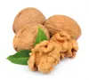 Best Organic Kernels Dried Walnuts for sale worldwide