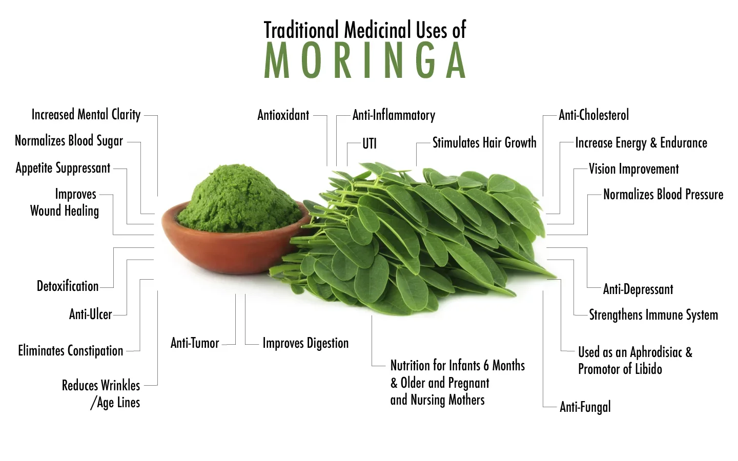 moringa powder (2).png