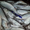 /product-detail/premium-quality-frozen-herring-fish-tilapia-fish-frozen-fish-62015557063.html