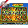 Jackpot duck casino machine slot gambling software