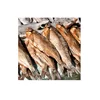 Best Grade Dried Anchovies