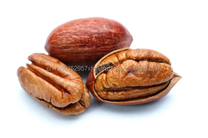 quality pecan nuts for sale/ pecan nut in shell