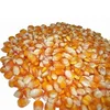 /product-detail/premium-quality-non-gmo-dried-white-corn-dried-yellow-corn-maize-from-usa-62010214542.html