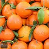 Organic Mandarin Orange/Kinnow Of Pakistan/Best Taste Mandarin Orange/Kinnow