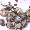 /product-detail/frozen-shellfish-cooked-iqf-short-neck-clam-meat-62013725883.html