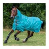 /product-detail/waterproof-high-quality-body-turnout-horse-rug-62009869426.html