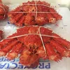 /product-detail/crab-red-king-crab-live-and-frozen-red-king-crab-62015172916.html
