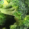 /product-detail/iqf-import-bulk-wholesale-prices-organic-brands-frozen-broccoli-with-3-5-cm-60724165788.html