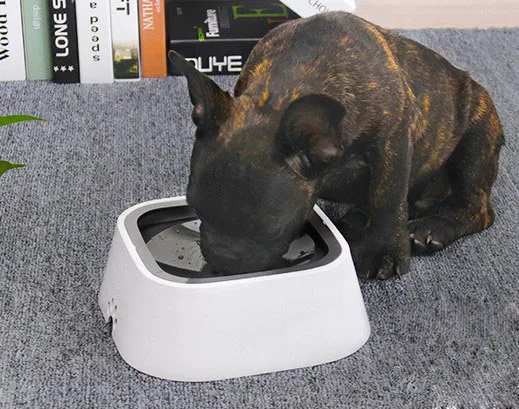 Pet Water Feeder Automatic Feeder Cat Time Pet Dog Drinking Auto Water Feeder Tool Original Pet Dog Cat Water Fountain
Pet Water Feeder Automatic Feeder Cat Time Pet Dog Drinking Auto Water Feeder Tool Original Pet Dog Cat Water Fountain