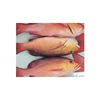 Best Frozen Seafood Delicious Taste Red Bass Fish Fillet Exporter