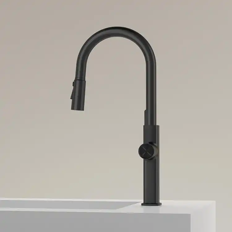 Matte Black Pull Down Faucet Model 107 B1K-B Material Detail matte-black-pull-down-faucet-detail