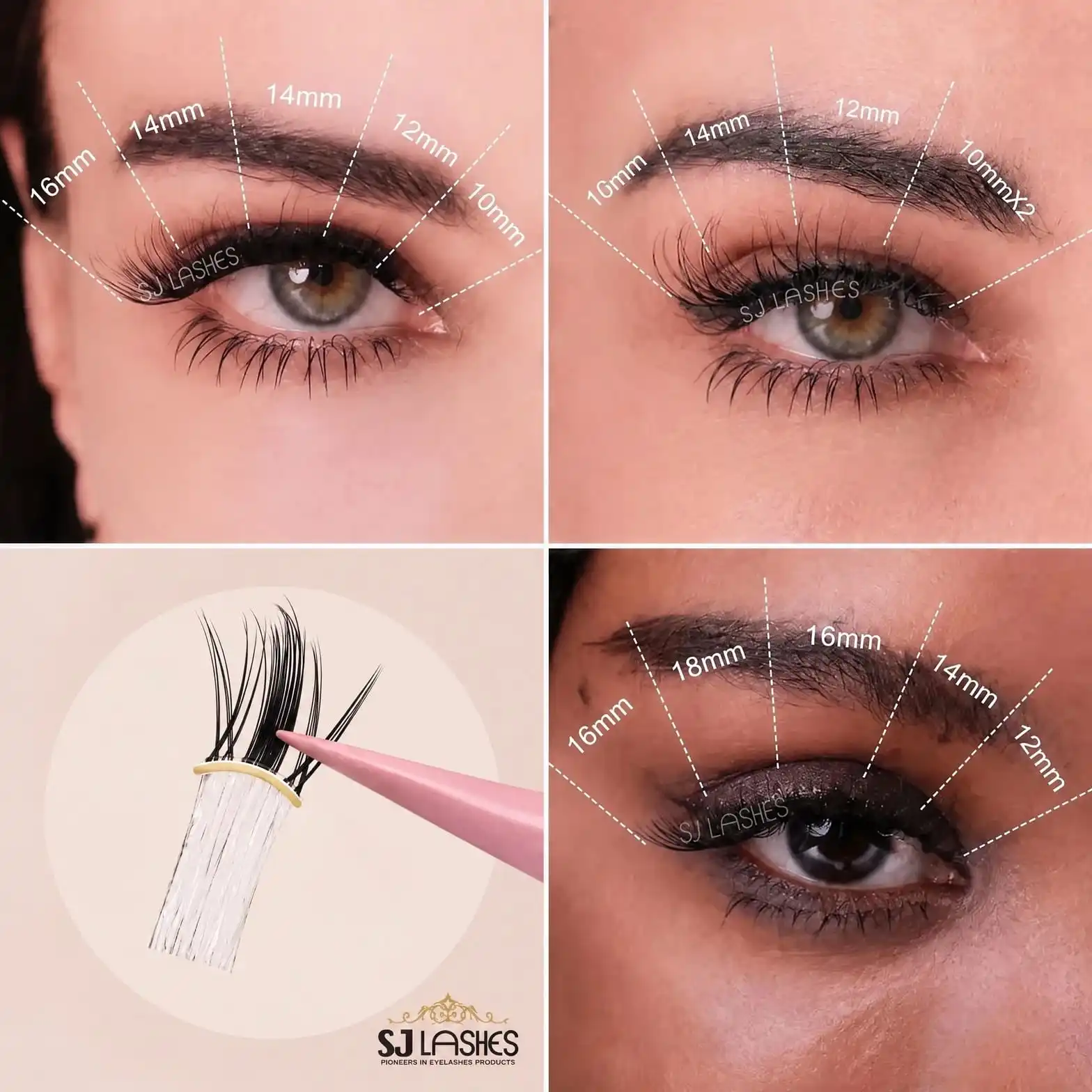 Four-panel lash map poster showing different eye shapes with 16mm 14mm 12mm 10mm length mapping and a pre-curved band cluster inset on a cream background - DIY lash map lengths guide