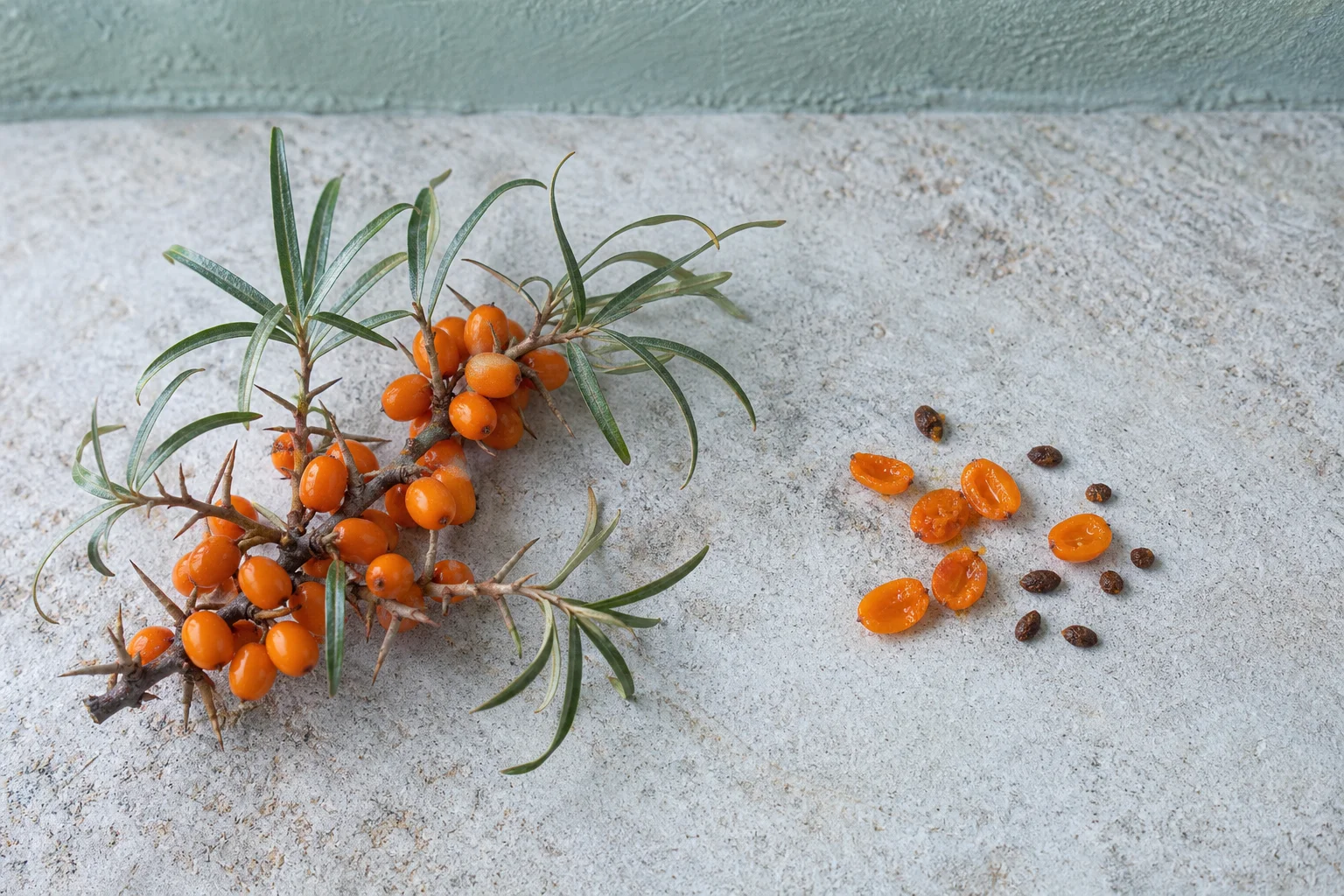 sea buckthorn thorny branch orange berries pulp and seeds pale granite botanical still life