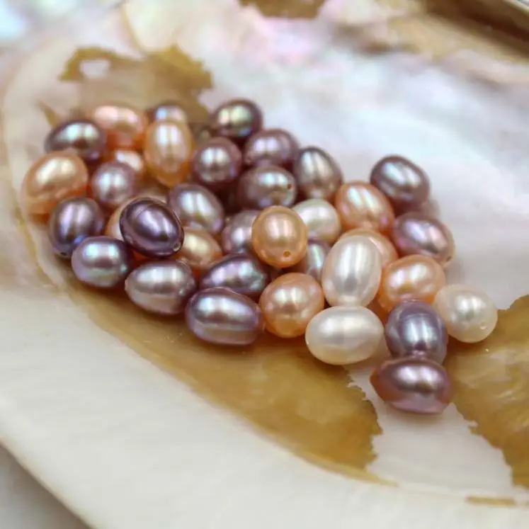 

Certified ZZBKZ025 Freshwater Pearl 7.0 8.0Mm Rice Shaped Aa Half Hole Factory Direct Sales