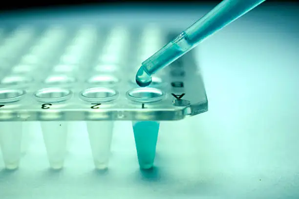 Stem Cell Lab