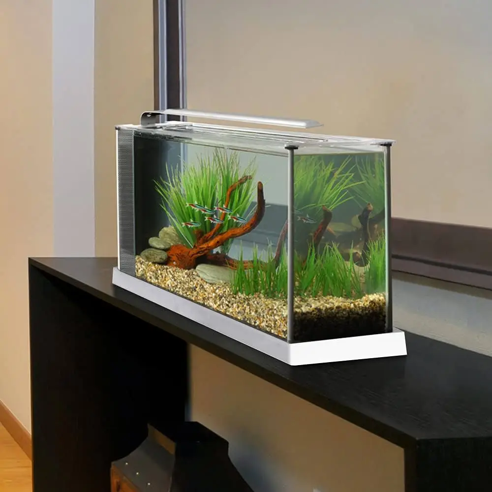 Fluval Spec V Nano Aquarium Kit - 5 Gallon