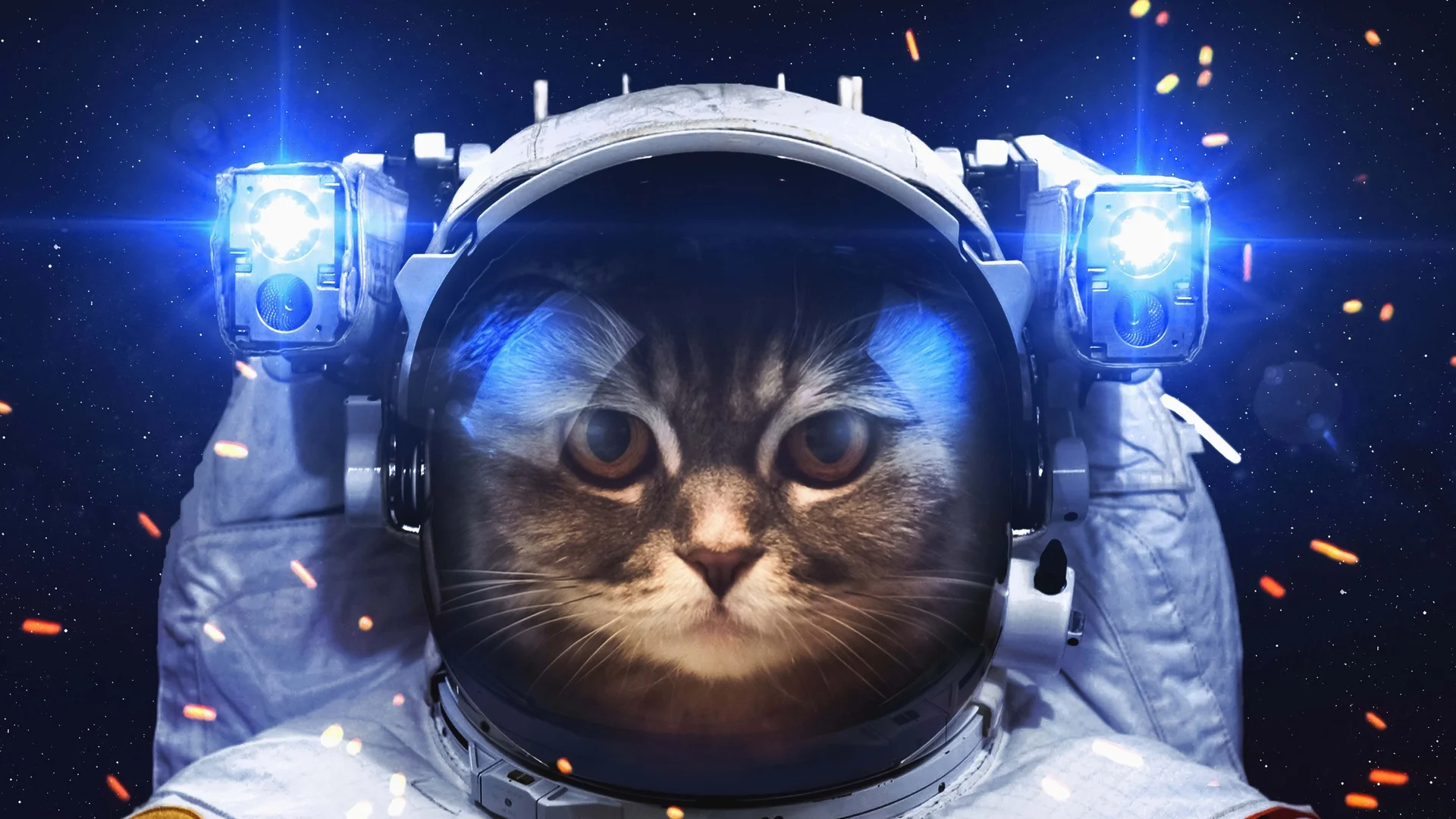 играть в котика в космосе. играть в котика в космосе. играть в котика в космосе. играть в котика в космосе. Bongo cat в космосе 3d анимация.